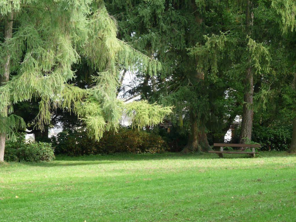 Parkhotel Zur Klause Bad Hall Exterior photo